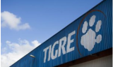 GRUPO TIGRE abre inscrições para o Programa de Estágio 2025