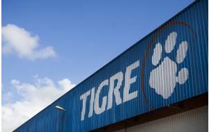 GRUPO TIGRE abre inscrições para o Programa de Estágio 2025